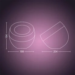 Philips Hue Iris WACA LED Table Lamp, Black -Philips Hue Shop 7534265 8