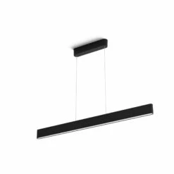 Philips Hue Ensis Pendant Light, WACA, Black