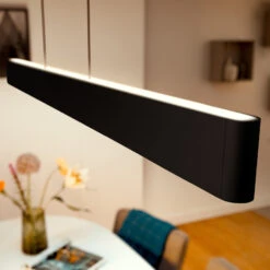 Philips Hue Ensis Pendant Light, WACA, Black -Philips Hue Shop 7534278 5