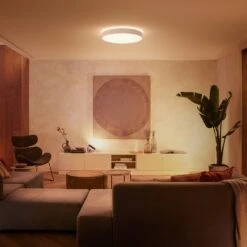 Philips Hue Enrave LED Ceiling Light 55.1 cm White 12 Philips Hue Enrave LED Ceiling Light 55.1 cm White -Philips Hue Shop 7534298 1