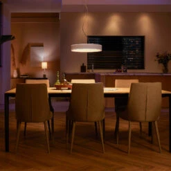 Philips Hue Enrave LED Pendant Light White -Philips Hue Shop 7534300 2