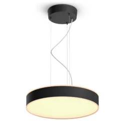 Philips Hue Enrave LED Pendant Light, Black -Philips Hue Shop 7534301 4