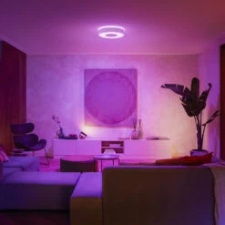 Philips Hue Infuse LED Ceiling Light 38.1 cm White -Philips Hue Shop 7534302 1