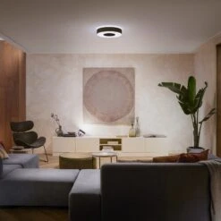 Philips Hue Infuse LED Ceiling Lamp 38.1 cm, Black -Philips Hue Shop 7534303 1