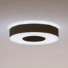 Philips Hue Infuse LED Ceiling Lamp 38.1 cm, Black 1 Philips Hue Infuse LED Ceiling Lamp 38.1 cm, Black -Philips Hue Shop 7534303