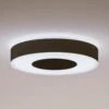 Philips Hue Infuse LED Ceiling Lamp 42.5 Cm, Black -Philips Hue Shop 7534305