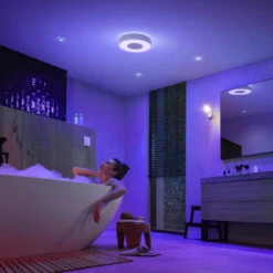 Philips Hue Xamento LED Ceiling Light IP44 38.1cm -Philips Hue Shop 7534308 2