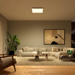 Philips Hue Surimu LED Panel, 60 X 60 Cm