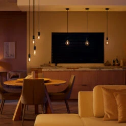 Philips Hue White Ambiance A60 Filament E27 7 W -Philips Hue Shop 7534314 4