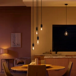 Philips Hue White Ambiance Edison Filament E27 7 W -Philips Hue Shop 7534315 3