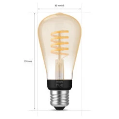 Philips Hue White Ambiance Edison Filament E27 7 W -Philips Hue Shop 7534315 5
