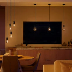 Philips Hue White Ambiance Globe Filament E27 7 W 15 Philips Hue White Ambiance Globe Filament E27 7 W -Philips Hue Shop 7534316 4