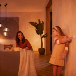 Philips Hue Wall Switch Module -Philips Hue Shop 7534335 6