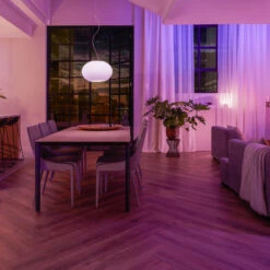 Philips Hue Wall Switch Module -Philips Hue Shop 7534335 7