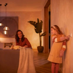 Philips Hue Wall Switch Module, 2-pack -Philips Hue Shop 7534336 6