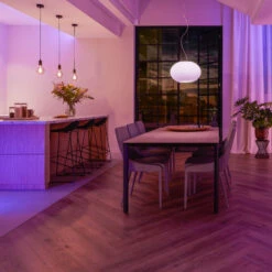 Philips Hue Wall Switch Module, 2-pack -Philips Hue Shop 7534336 7