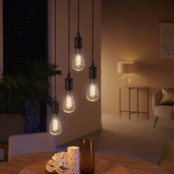 Philips Hue E27 7W LED Bulb Giant Edison Filament -Philips Hue Shop 7534337 4