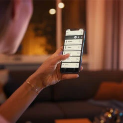 Philips Hue White Ambiance E27 13.5 W LED Bulb -Philips Hue Shop 7534340 4