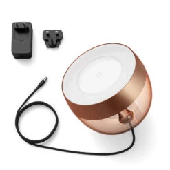 Philips Hue Iris WACA LED Table Lamp, Copper -Philips Hue Shop 7534345 3
