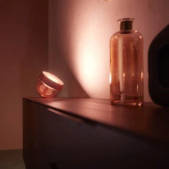 Philips Hue Iris WACA LED Table Lamp, Copper -Philips Hue Shop 7534345 5