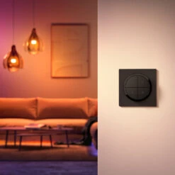 Philips Hue Tap Dial Switch, Black -Philips Hue Shop 7534354 3