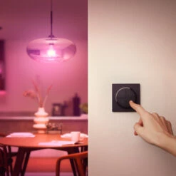Philips Hue Tap Dial Switch, Black -Philips Hue Shop 7534354 4