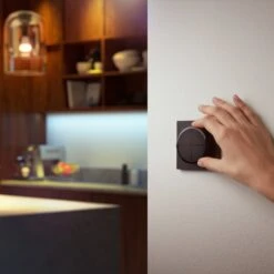 Philips Hue Tap Dial Switch, Black -Philips Hue Shop 7534354 5