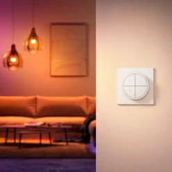Philips Hue Tap Dial Switch, White -Philips Hue Shop 7534355 2