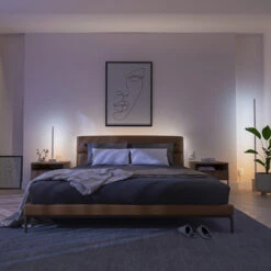 Philips Hue Gradient Signe Oak LED Table Lamp -Philips Hue Shop 7534356 4